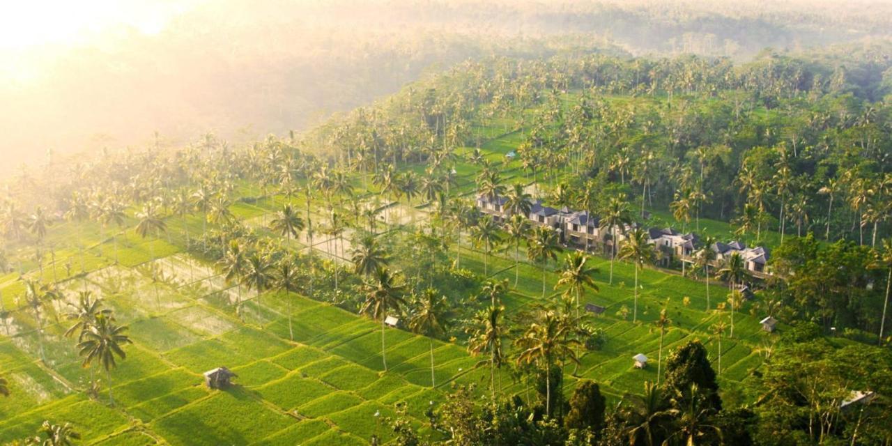 Stanagiri Luxury Retreat Ubud Tegallalang  Exterior photo