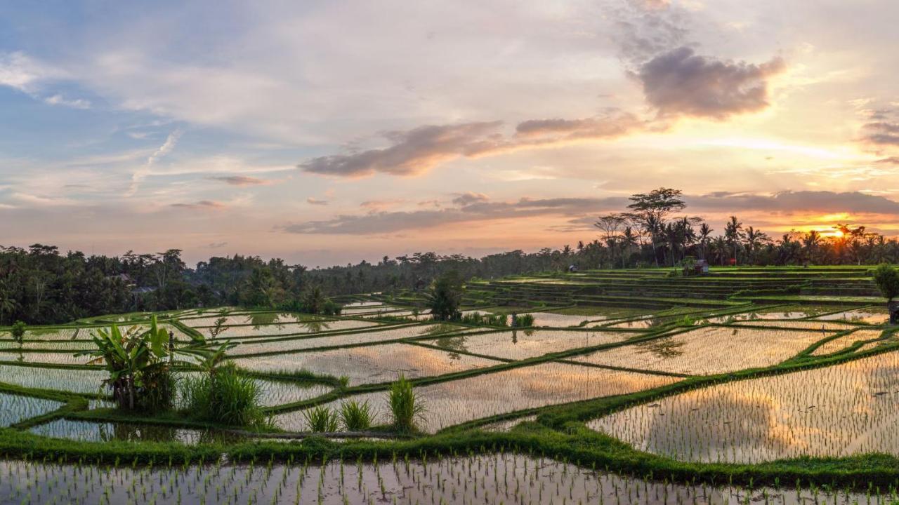 Stanagiri Luxury Retreat Ubud Tegallalang  Exterior photo